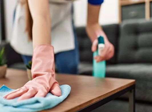 Light Housekeeping / Home Care